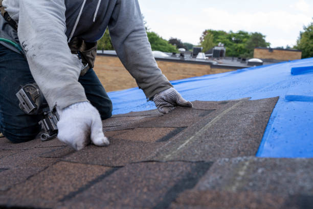 Best Shingle Roofing Installation  in Whiskey Creek, FL