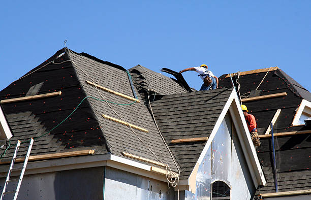 Best Roof Gutter Cleaning  in Whiskey Creek, FL