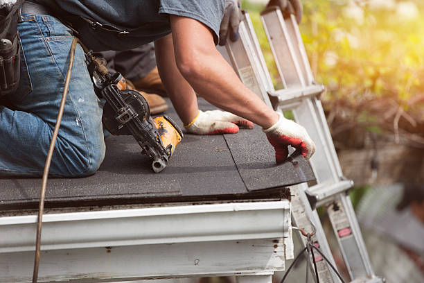 Roof Gutter Cleaning in Whiskey Creek, FL
